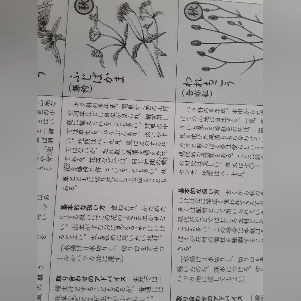 Book of flowers and flower arrangements written in Japanese.
